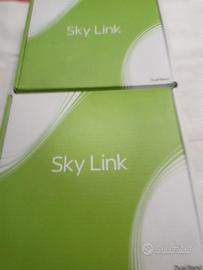 Sky link model daz 100s