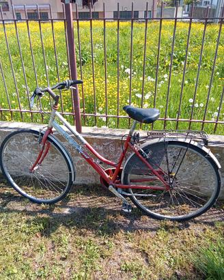 bicicletta 
