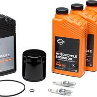 TAGLIANDO HARLEY DAVIDSON SPORTSTER MOTORE CAMBIO/