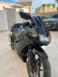 Ninja 250 R