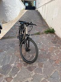 BICI Elettrica ITALWIN