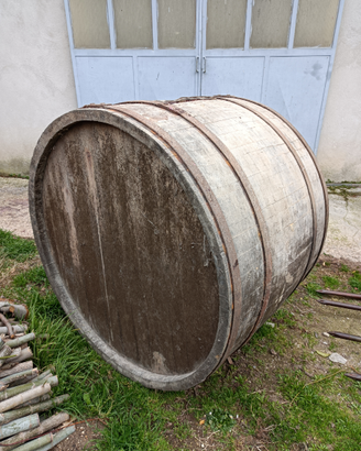 Botti vecchie per vino