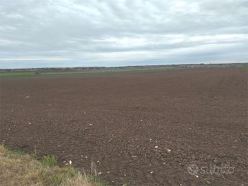 NUOVA CLITERNIA HA.3.6 TERRENO SEMINATIVO