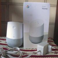 ASSISTENTE VOCALE GOOGLE HOME