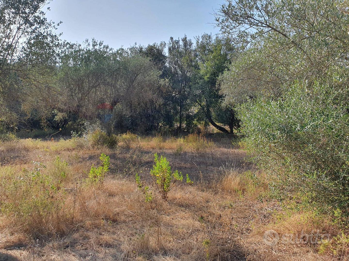 Terreno - Caltagirone - Vista 4