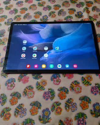 Tab s7 Fe 5g 