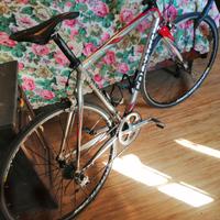 colnago
