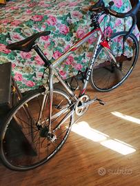 colnago