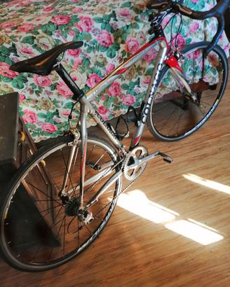 colnago