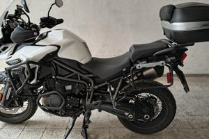 Triumph Tiger 1200 - 2019