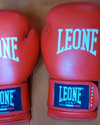 Guanti BOXE LEONE CONTEST 10 once