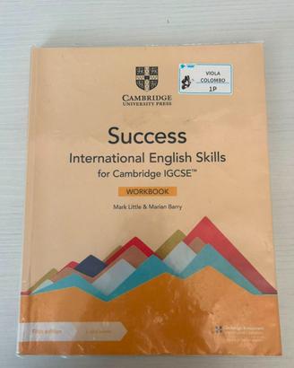 usato - Success.International English skills