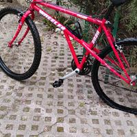 bici 30 euro