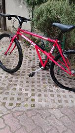 bici 30 euro