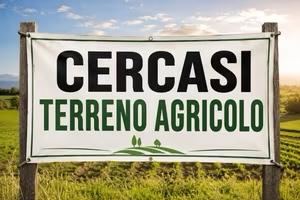Terreno agricolo pianeggiante