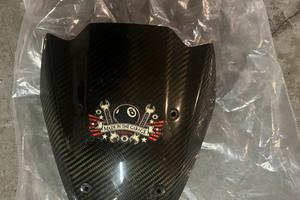 Accessori Carbonio Kawasaki Z1000 2010