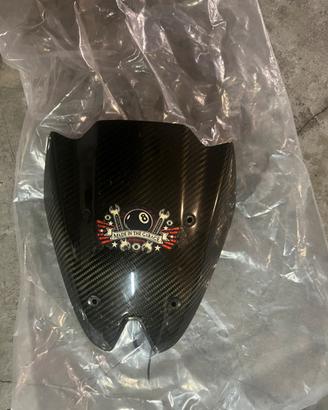 Accessori Carbonio Kawasaki Z1000 2010