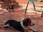 Immagine 3