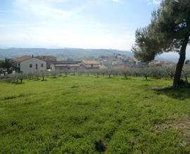 Terreno agricolo, in parte edificabile