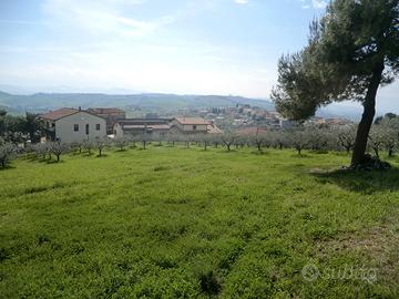 Terreno agricolo, in parte edificabile