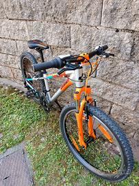 MTB cube acid 240