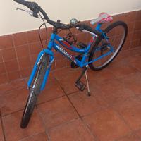 Bicicletta raggio 26