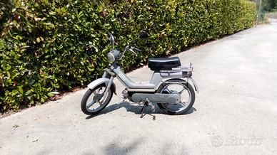 Piaggio Altro modello - 1981
