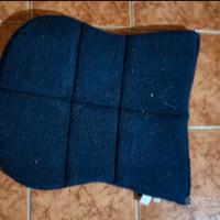 agnellino cavallo ammortizzatore burioni