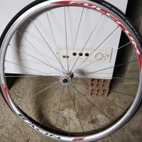 ruota alluminio con copertone Fulcrum  anteriore