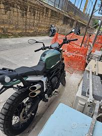 benelli leoncino 800