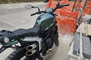 benelli leoncino 800