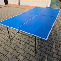 Tavolo da ping pong