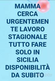 Lavoro stagionale solo in Sicilia