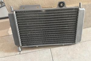 Radiatore gilera runner 125/180 2t