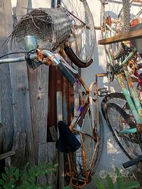 bicicl