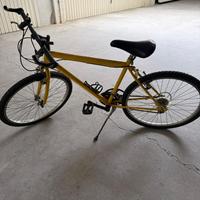 BICICLETTA MOUNTAIN BIKE