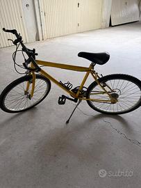 BICICLETTA MOUNTAIN BIKE