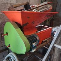 TORCHIO DIRASPATRICE BOTTI