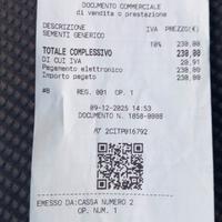 Erba sintetica