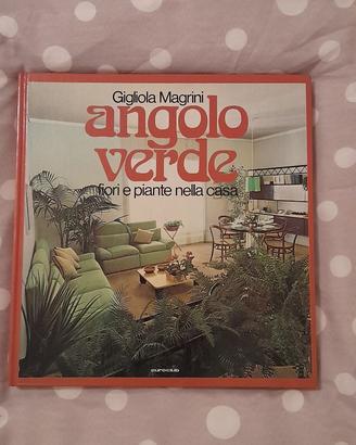 Libro "AngoloVerde"-G.Magrini 1974