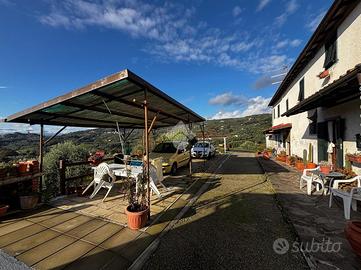 RUSTICO A MASSA E COZZILE