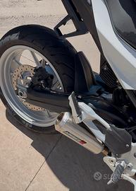 Terminale dominator bmw f900xr 2022