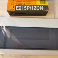 BTICINO E215P/12DN - KIT CENTRALINO 12 MODULI