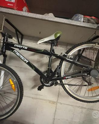 Bicicletta ragazzo Merida