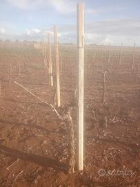 pali in cemento precompresso 