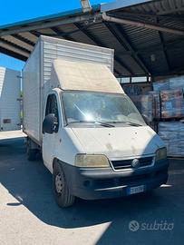 FIAT DUCATO MAXI 2.8 JTD - CASSONATO