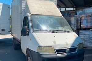 FIAT DUCATO MAXI 2.8 JTD - CASSONATO