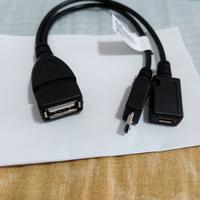 cavo y per firetv stick Amazon