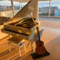 Chitarra Yamaha C-40