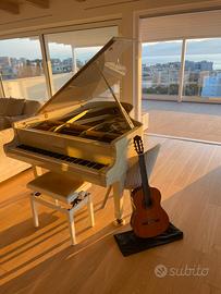 Chitarra Yamaha C-40